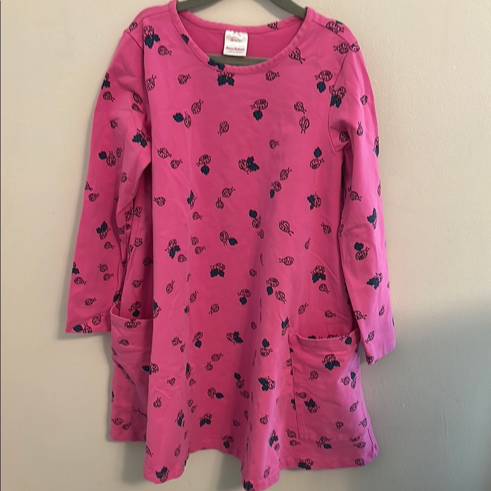Hanna Andersson Size 8 lady bug dress